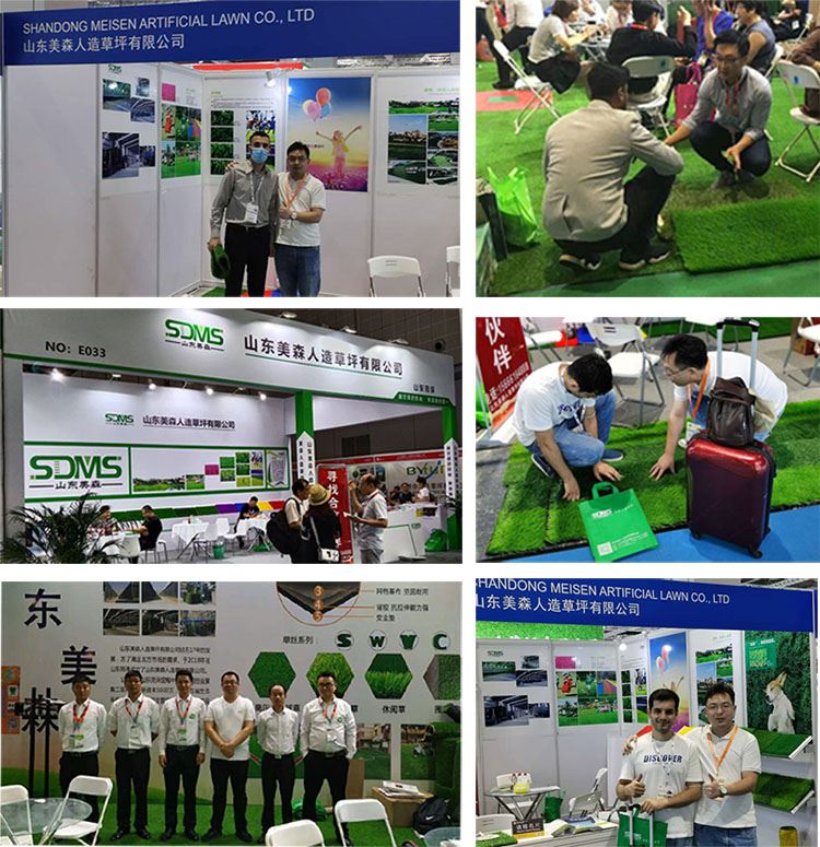 SDMS artificial grass exhibition