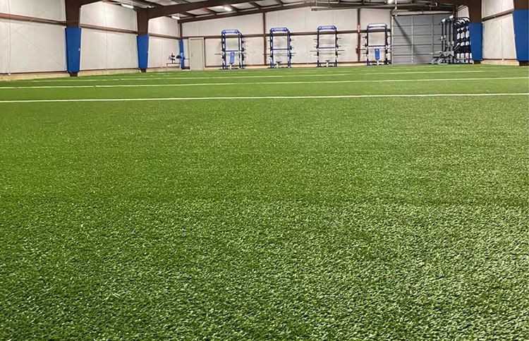 gym turf gym turf