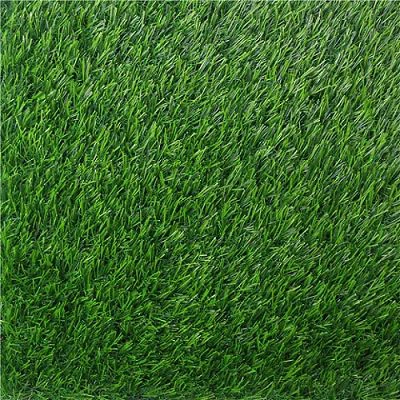 landscape grass 7.2777
